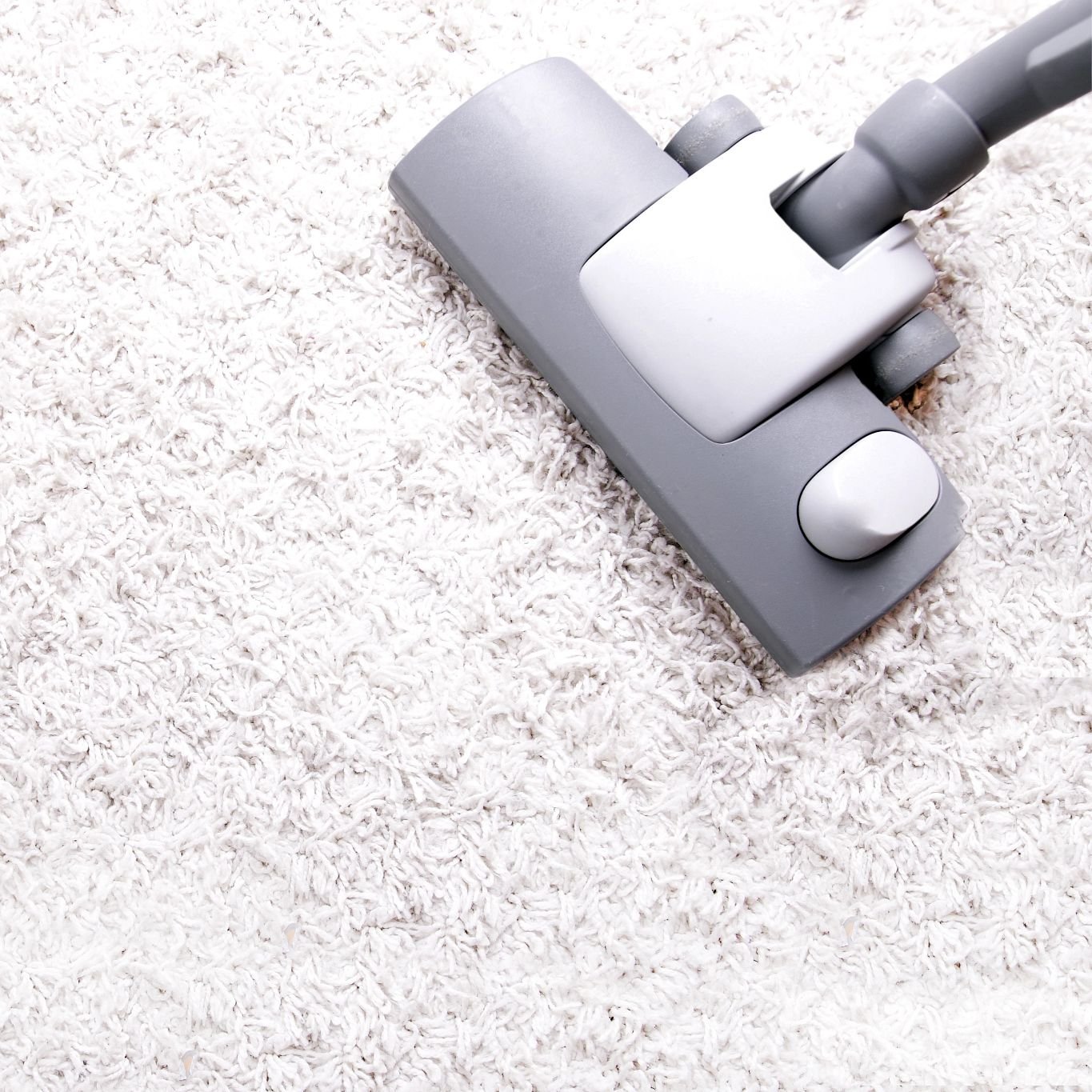 Carpet cleaner on carpet - Carpet & tile cleaning services offered by The Carpet Shoppe Inc in Tulare, CA